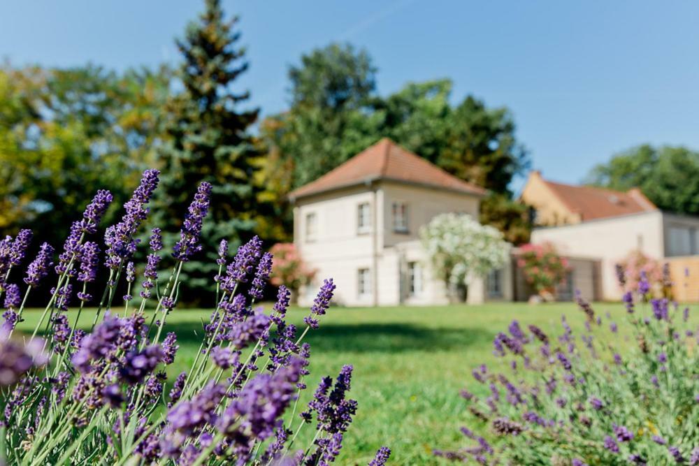 Landhaus Am Jungfernsee 波茨坦 外观 照片